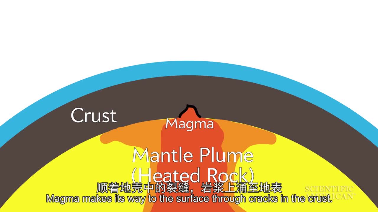 玉米粒能制造更优质的生物燃料--中国数字科技馆