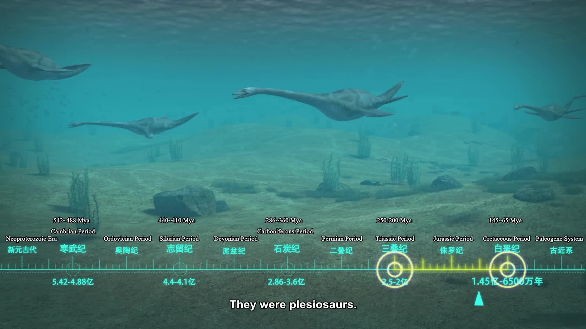 How Plants Breathe中国数字科技馆